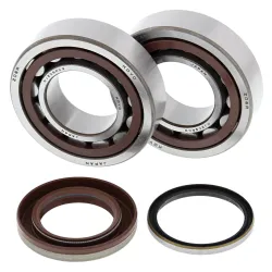 All Balls, Crank Shaft Bearing Kit