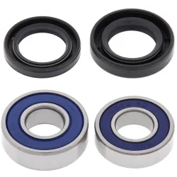 All Balls, Wheel Bearing Kit, REAR