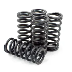 DP Brakes, Clutch Springs