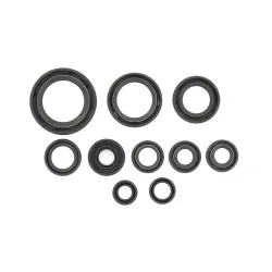 Holeshot, Engine Seal Kit