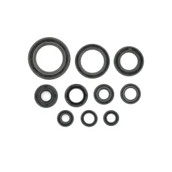 Holeshot, Engine Seal Kit