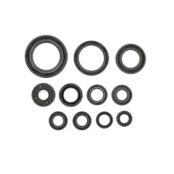 Holeshot, Engine Seal Kit