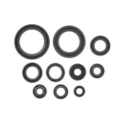 Holeshot, Engine Seal Kit