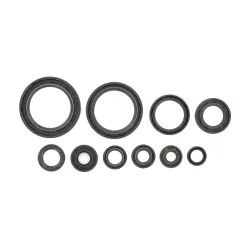 Holeshot, Engine Seal Kit