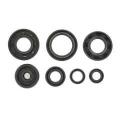 Holeshot, Engine Seal Kit