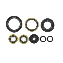 Holeshot, Engine Seal Kit